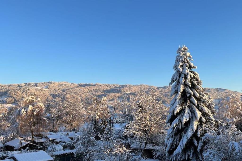 Ferienwohnung Am Seeberg Lindau  Dış mekan fotoğraf